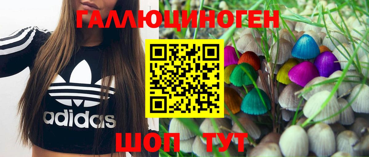 Галлюциногенные грибы мухоморы  Вход с VPN  Десногорск 